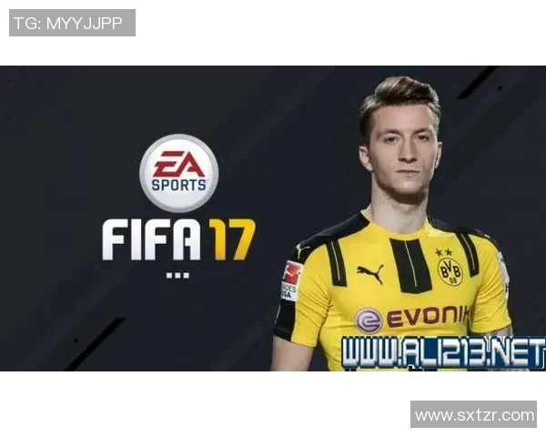 足球明星立体拼图拼装技巧与步骤详解助你轻松完成拼图挑战