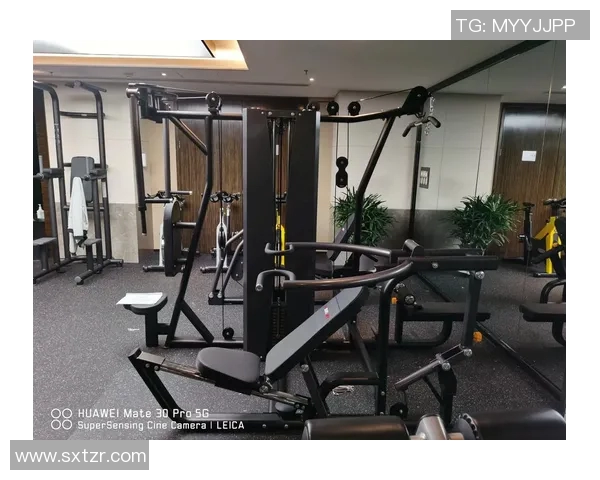 全面解析健身房常见器材及其使用方法助你打造完美身材