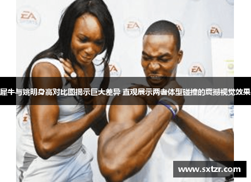 犀牛与姚明身高对比图揭示巨大差异 直观展示两者体型碰撞的震撼视觉效果