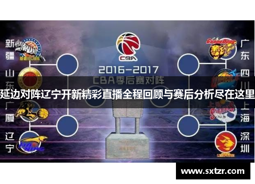 延边对阵辽宁开新精彩直播全程回顾与赛后分析尽在这里